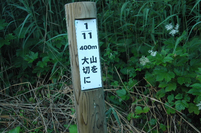 W1
