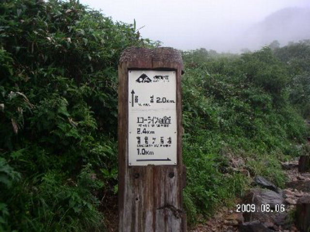 엳nꕪ