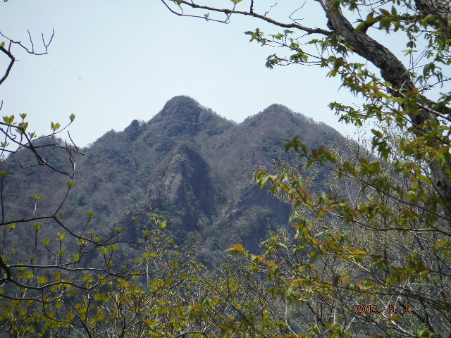 樹間からの祖母山