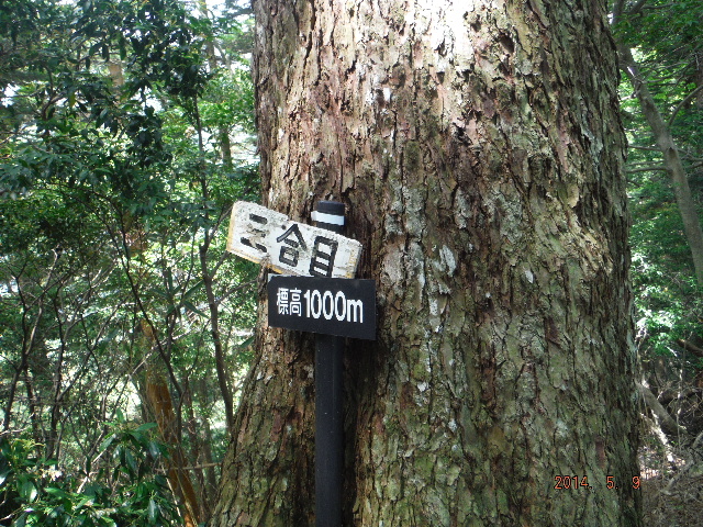 祖母山登山道