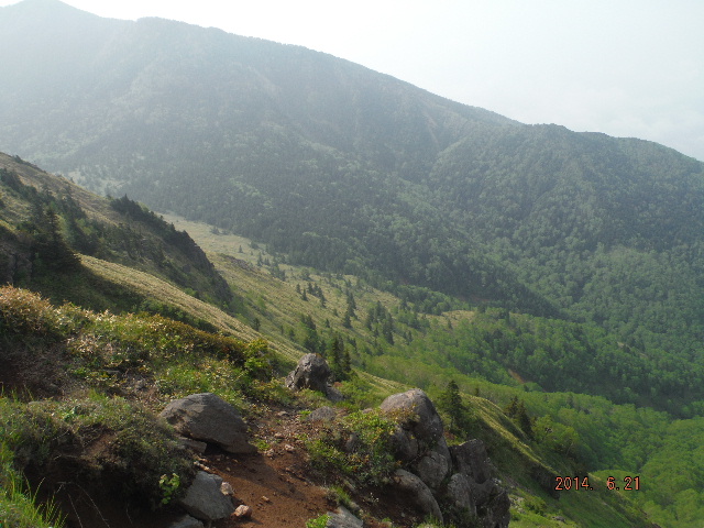 Rւ̓