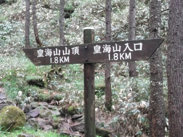 ԓ_