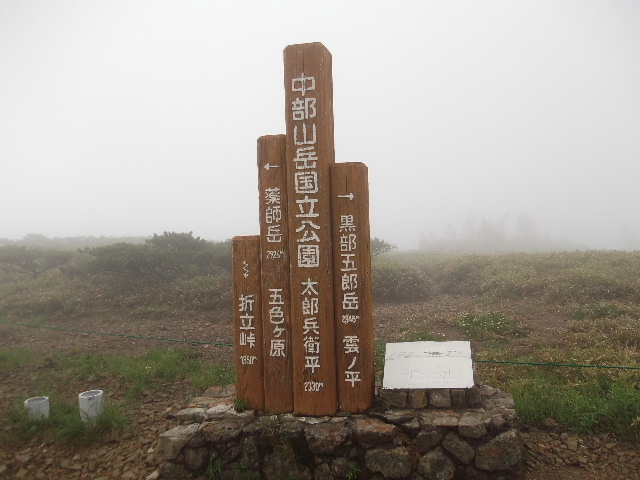 太郎平到着