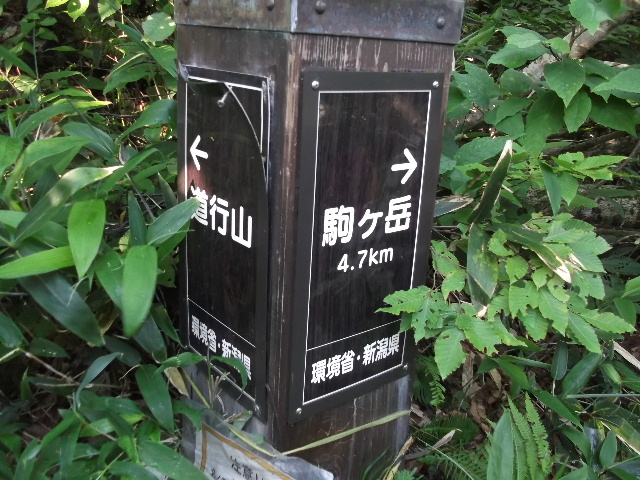 sR