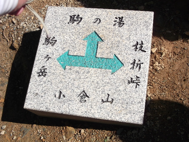 qRW