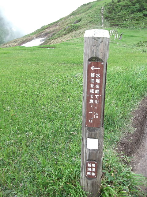 Pr