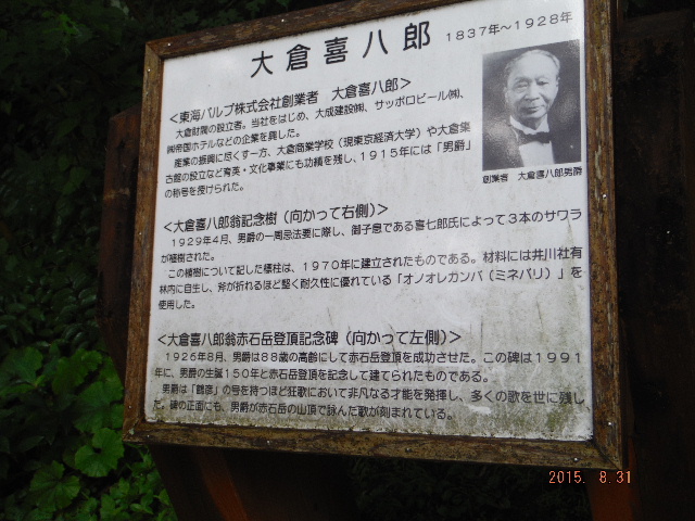 q씪YW