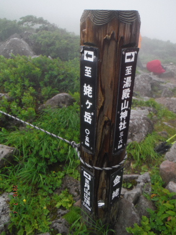 金姥