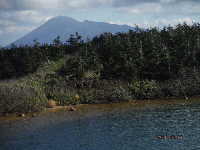 ガマ沼