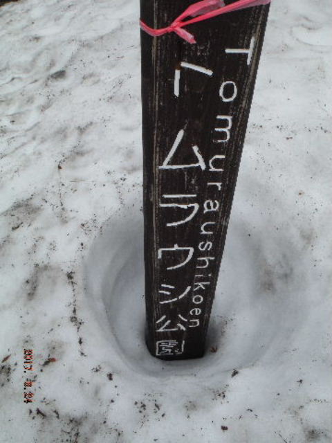 トムラウシ公園