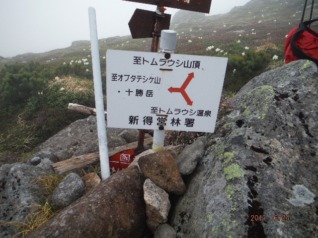 トムラウシ分岐