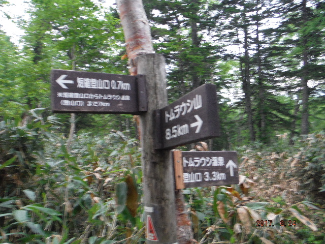 温泉コース分岐
