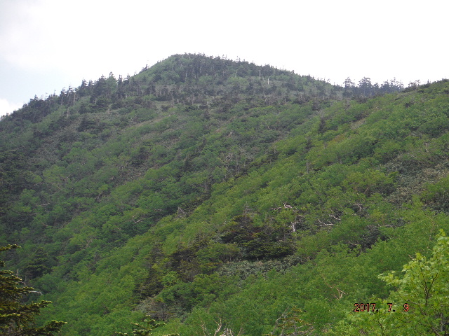 苗場山頂上遠望