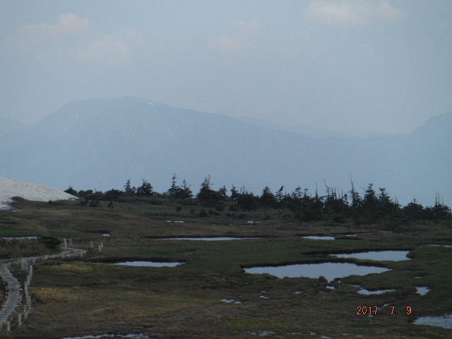 多くの池塘