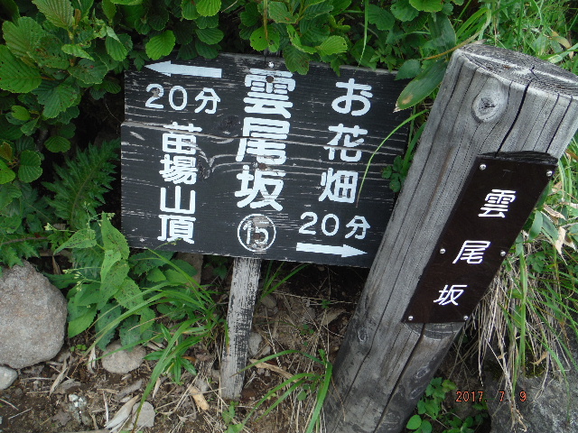 雲尾坂標柱