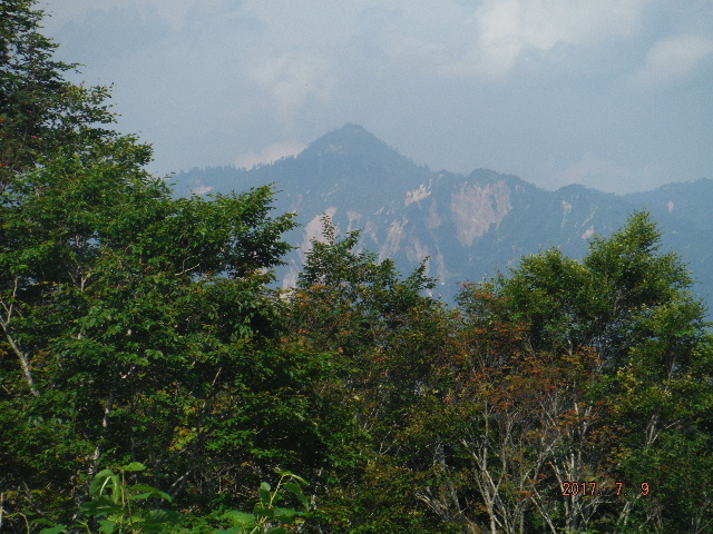 鳥兜山