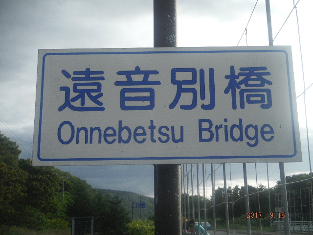 ʋ