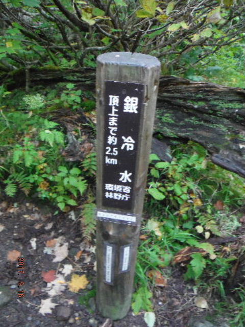 ␅
