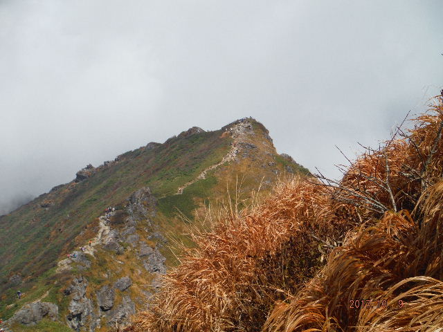 ILm