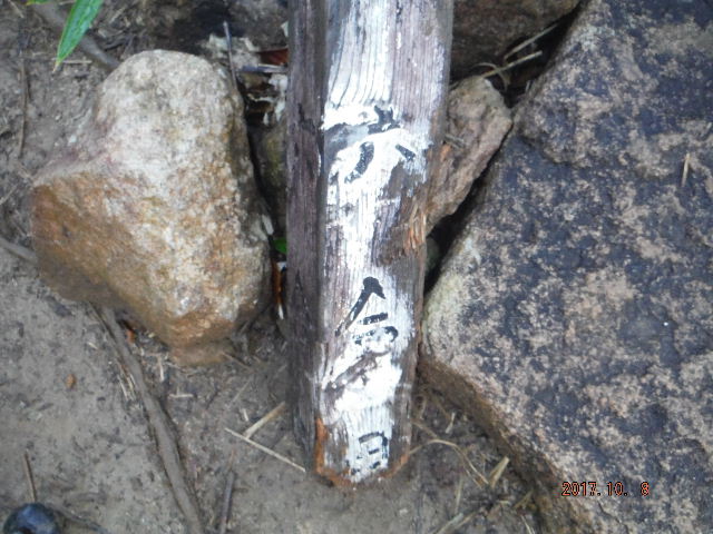 6ڕW