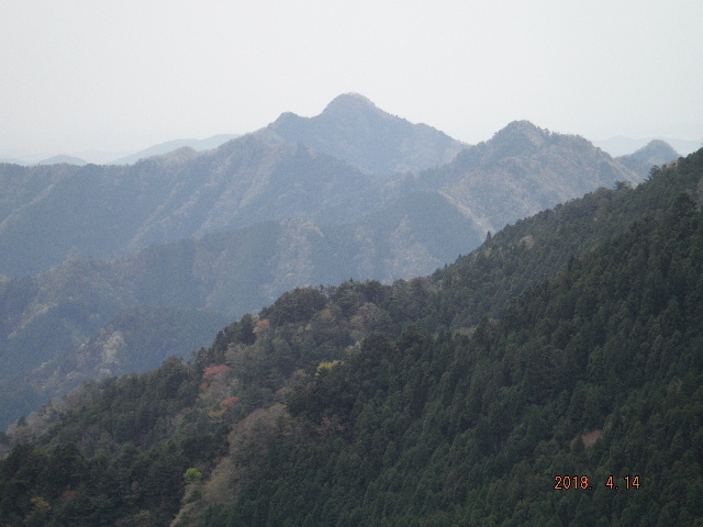 ��������g���R