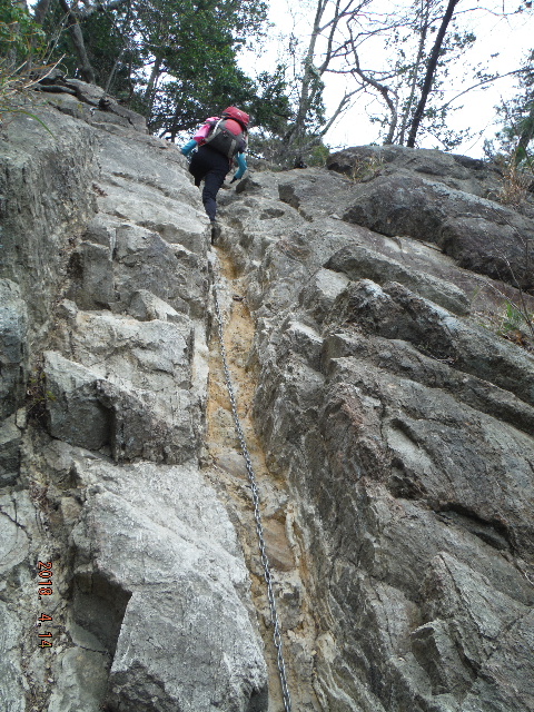 �N�T����1