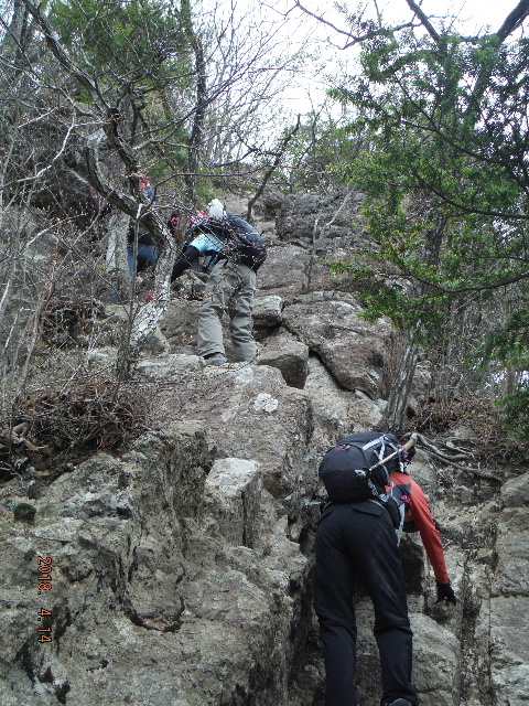 �N�T����2